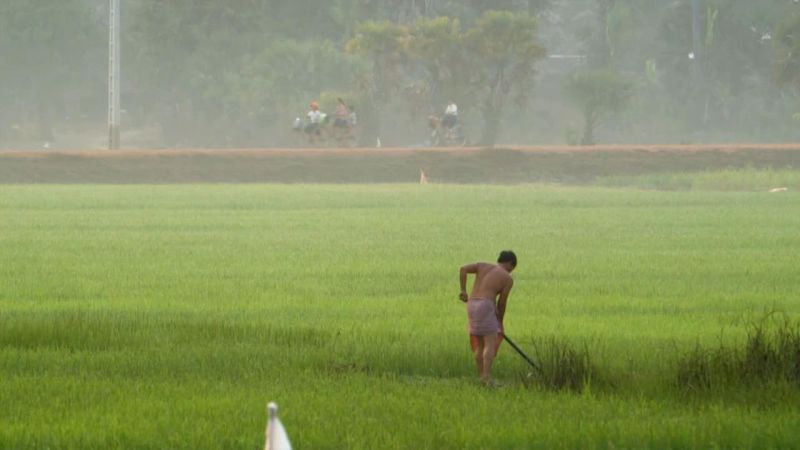 丛林中的亚特兰蒂斯 Jungle Atlantis