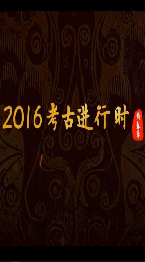 探索发现：2016考古进行时