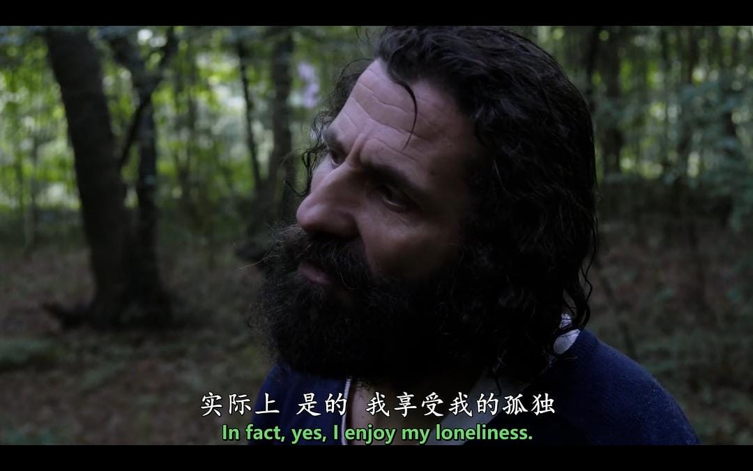 我们在这片森林里制造梦想 Le bois dont les rêves sont faits