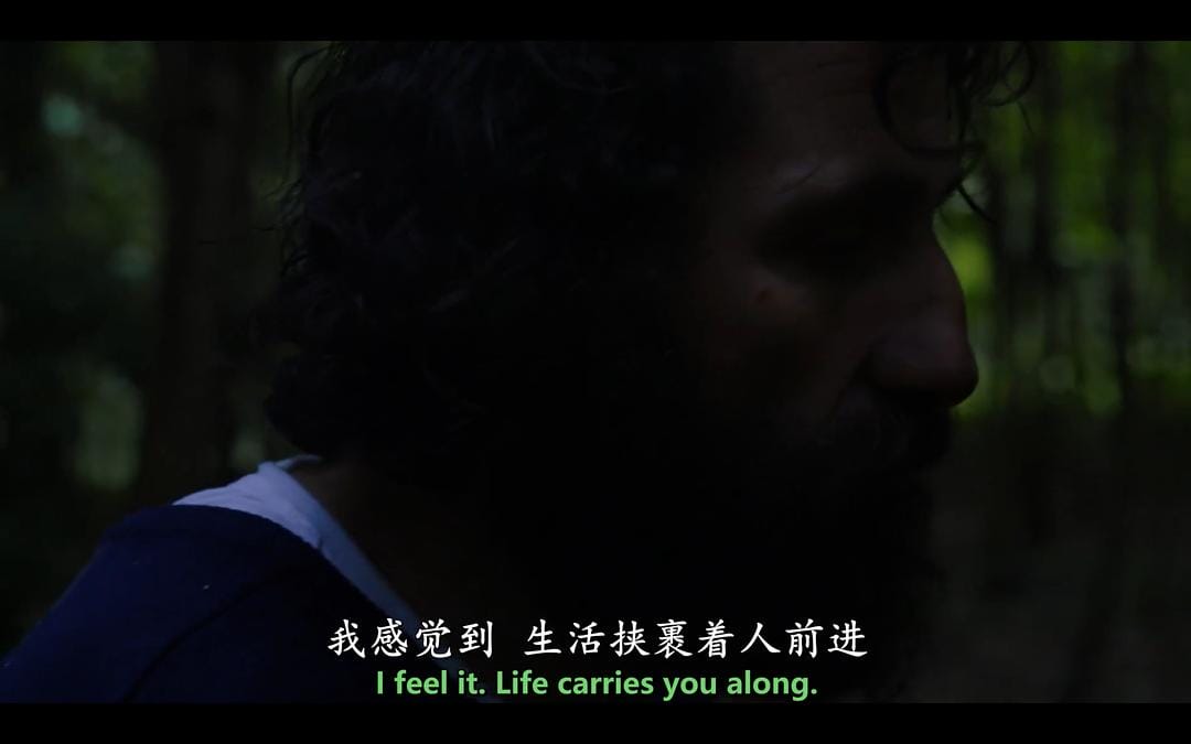 我们在这片森林里制造梦想 Le bois dont les rêves sont faits