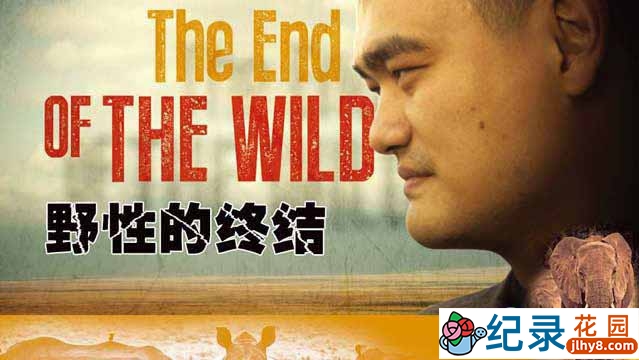 CCTV央视动物保护纪录片《野性的终结 The End of the Wild》全2集 720P/1080i高清纪录片资源百度云盘下载