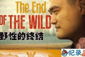 CCTV央视动物保护纪录片《野性的终结 The End of the Wild》全2集 720P/1080i高清纪录片资源百度云盘下载