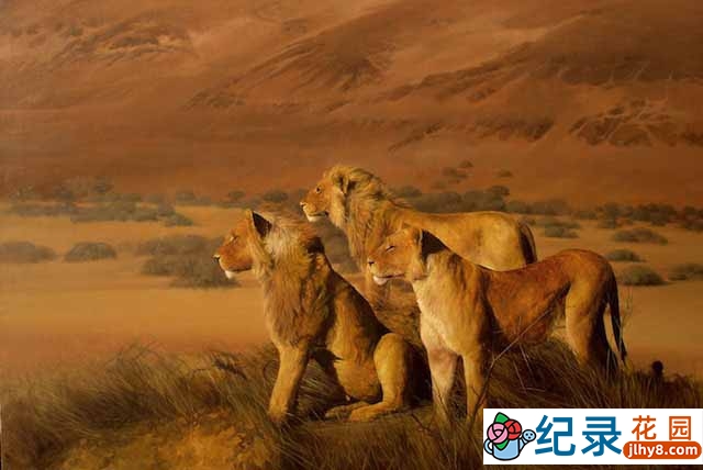 BBC自然生态纪录片《行星地球特别版 自然世界之沙漠雄狮与雪豹》全2集 720P/1080i高清纪录片资源百度云盘下载