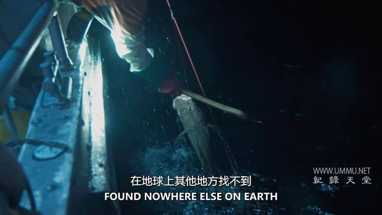 北冰洋 Arctic Waters