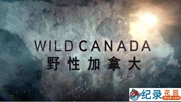 CBC自然生态纪录片《野性加拿大 Wild Canada》全5集 720P/1080i高清纪录片百度云