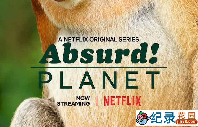 Netflix野生动物纪录片《怪诞星球 Absurd Planet》全12集 720P/1080i高清纪录片资源百度云盘下载