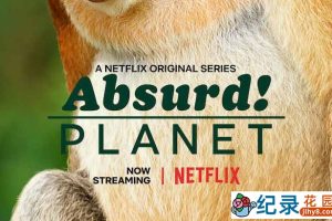 Netflix野生动物纪录片《怪诞星球 Absurd Planet》全12集 720P/1080i高清纪录片资源百度云盘下载