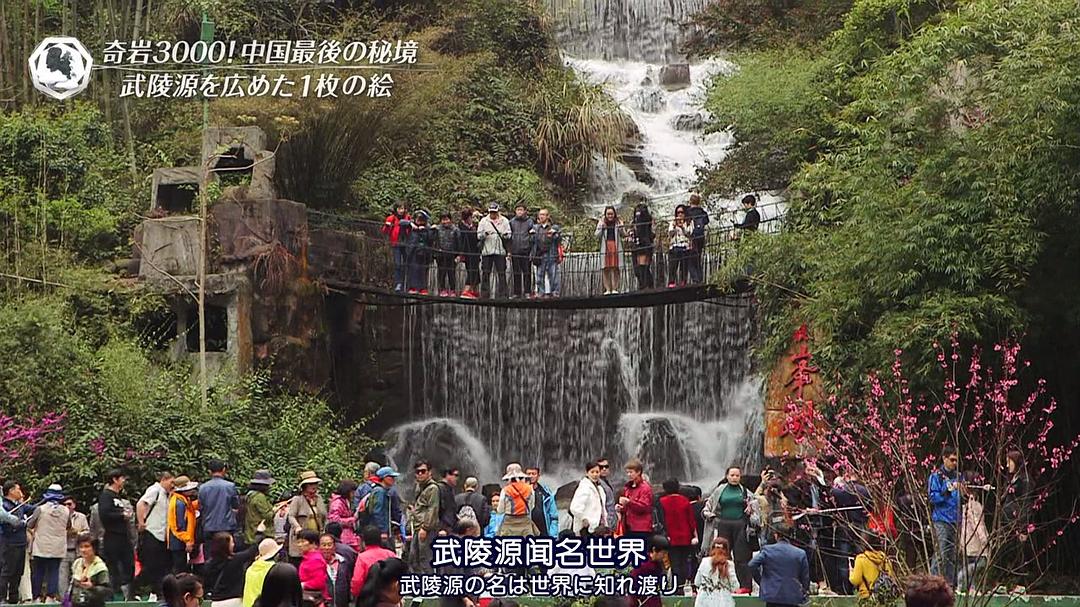 THE 世界遗产 THE 世界遺産