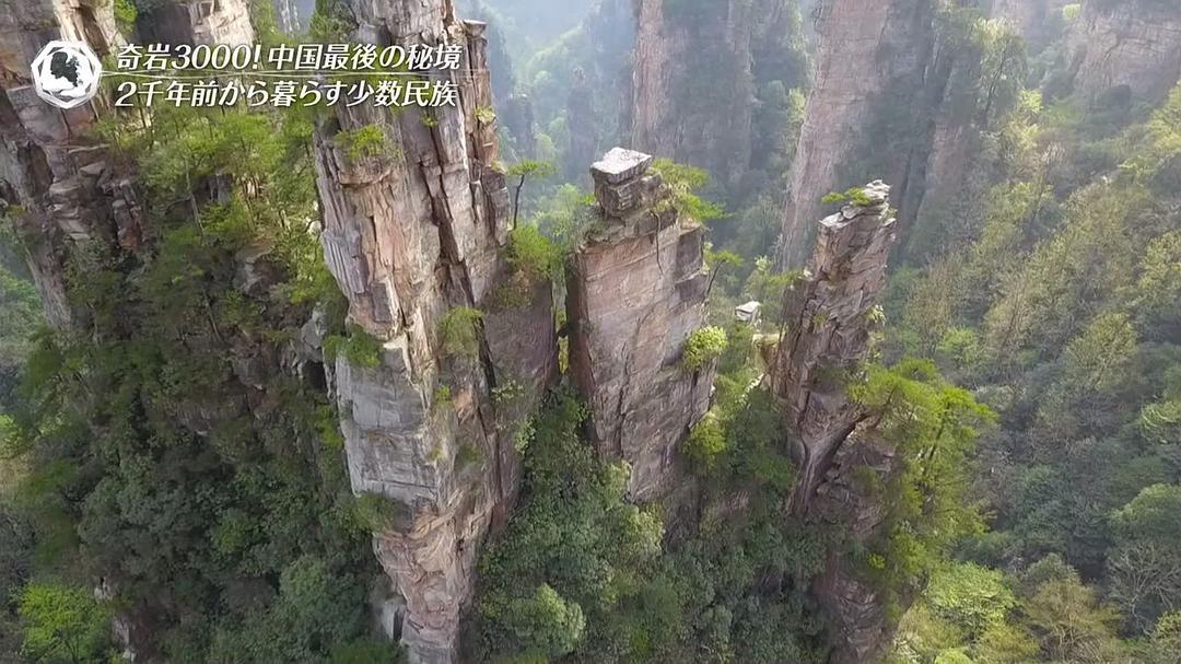 THE 世界遗产 THE 世界遺産