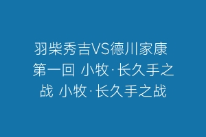 羽柴秀吉VS德川家康 第一回 小牧·长久手之战 小牧·长久手之战