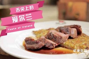 美食纪录片《舌尖上的爱尔兰 Taste of Ireland》第1季 720P/1080i高清纪录片资源百度云盘下载