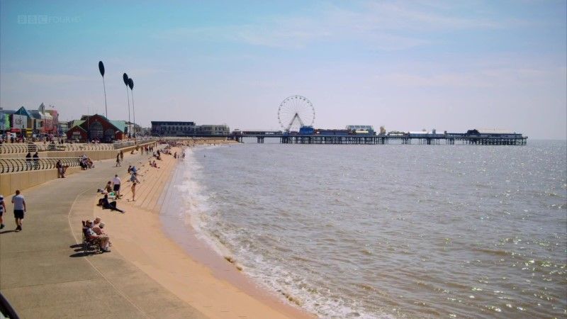 亲密共舞：舞蹈的私密历史 Dancing Cheek To Cheek: An Intimate History Of Dance