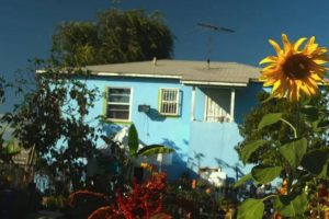 你能挖这个吗 Can You Dig This