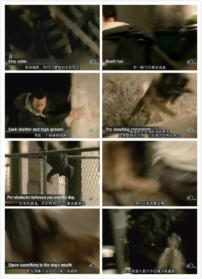 日常生存自救手册 第一季 Worst-Case Scenario Season 1