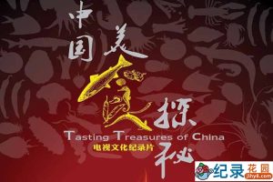 美食文化纪录片《中国美食探秘》全8集 标清纪录片资源百度云盘下载