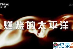 CCTV央视二战历史纪录片《燃烧的太平洋 Burning Pacific》全13集 720P/1080i高清纪录片百度云下载