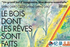 法国社会人文纪录片《我们在这片森林里制造梦想》全1集 720P/1080i高清纪录片资源百度云盘下载