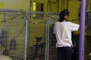 狗儿救援迎新生 第11季 Pit Bulls and Parolees