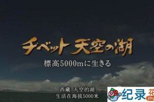 NHK自然地理纪录片《天上的圣湖 普莫雍错》全1集 标清纪录片资源百度云盘下载
