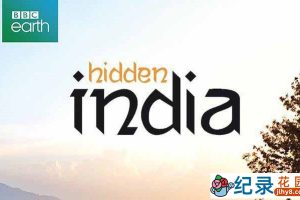 BBC自然生态纪录片《隐藏的印度 Hidden India》全3集 720P/1080i高清纪录片百度云下载