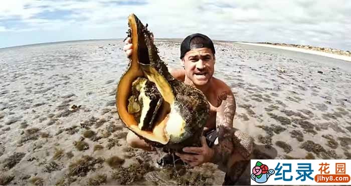 赶海捕捞纪录片《深海盛宴》第2季56集中字 720P/1080i高清纪录片资源百度云盘下载