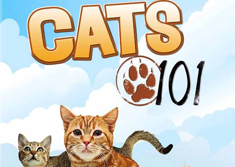 喵星人百科纪录片《猫咪101 Cats 101》第1季全5集中字 纪录片解说素材百度云盘下载 1080/MP4/7.03G