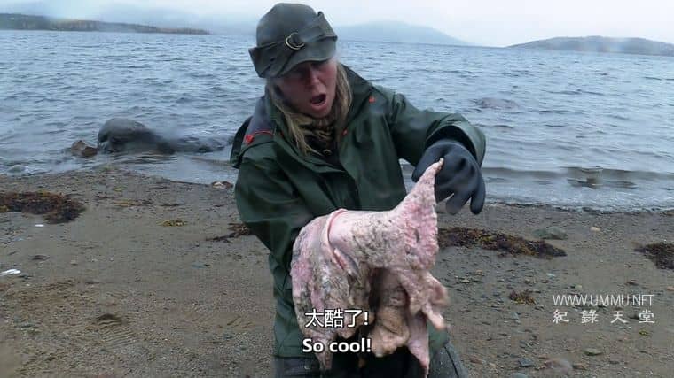 荒野独居：冰天雪地 Alone: Frozen