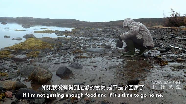 荒野独居：冰天雪地 Alone: Frozen