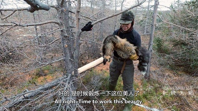 荒野独居：冰天雪地 Alone: Frozen