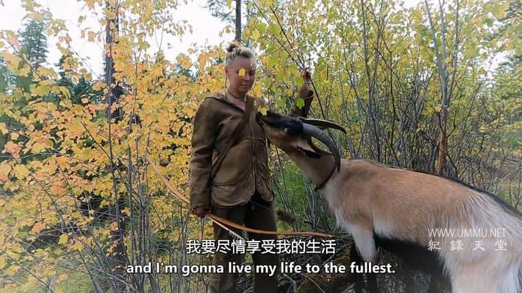 荒野独居：冰天雪地 Alone: Frozen