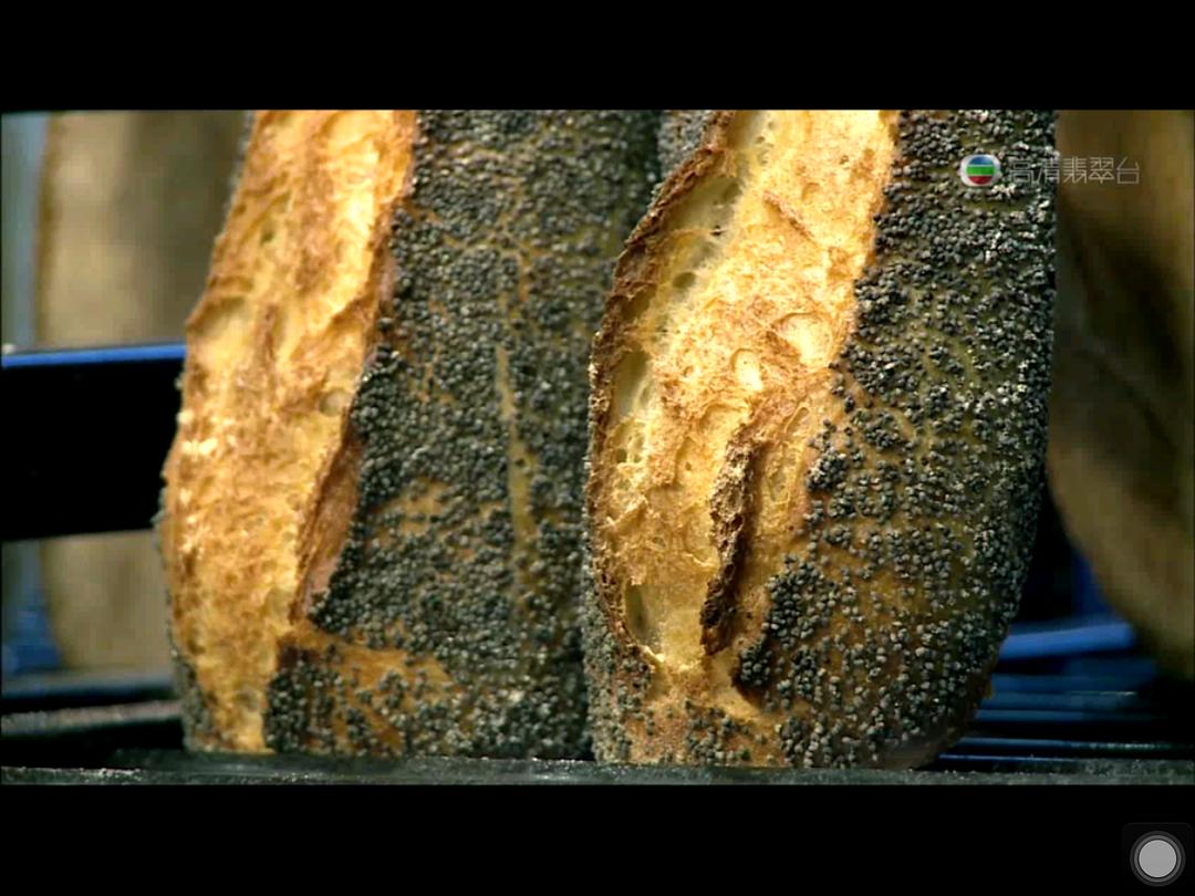 走过浮华大地 走過浮華大地