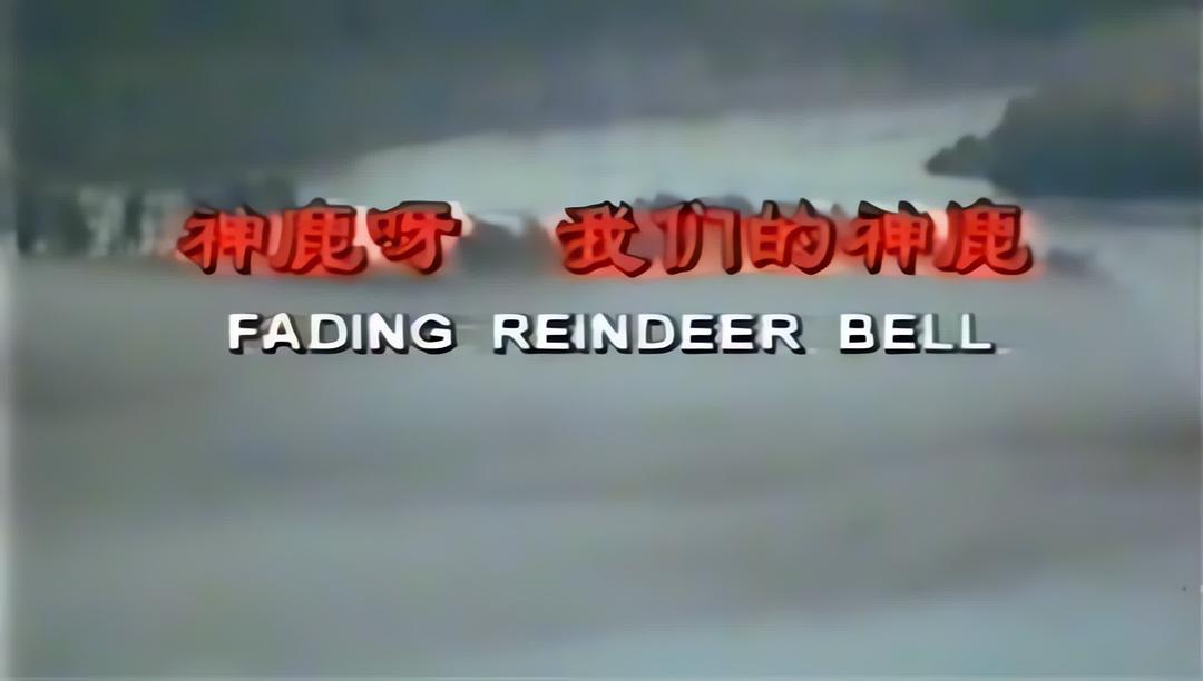 神鹿呀，我们的神鹿