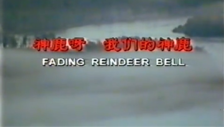 神鹿呀，我们的神鹿