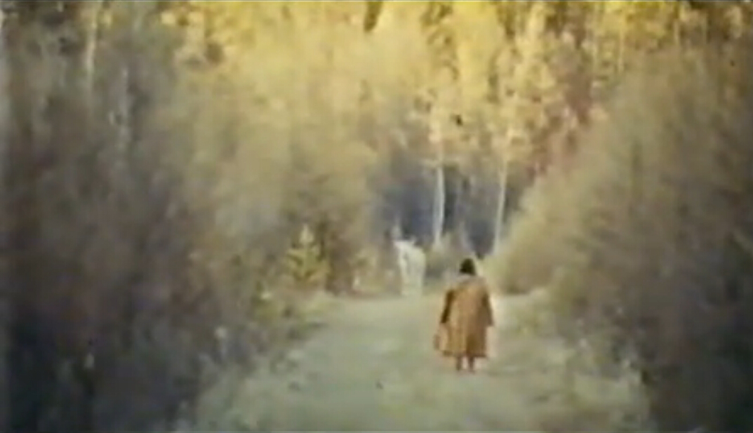 神鹿呀，我们的神鹿