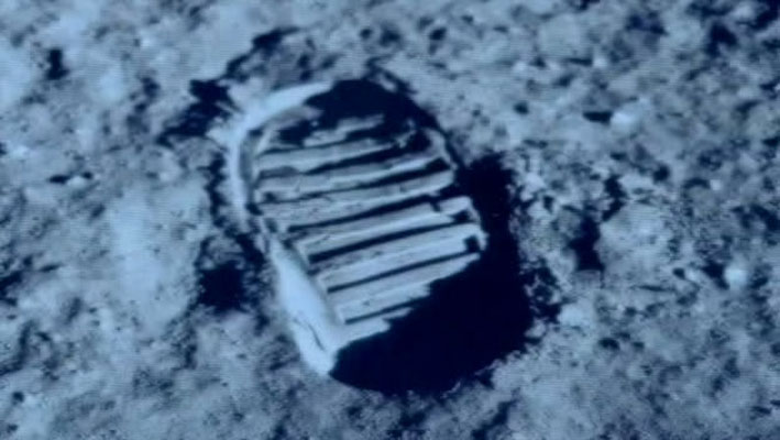 哺乳类全传 The Life of Mammals