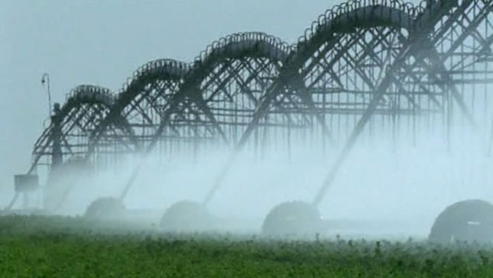 哺乳类全传 The Life of Mammals