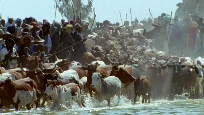 哺乳类全传 The Life of Mammals