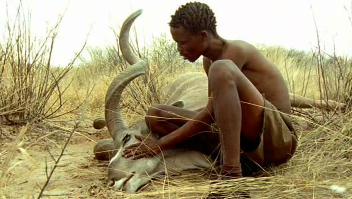 哺乳类全传 The Life of Mammals