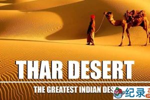 探索频道自然生态纪录片《印度塔尔大沙漠 THAR:India’s Great Desert》全1集 720P/1080i高清纪录片百度云下载