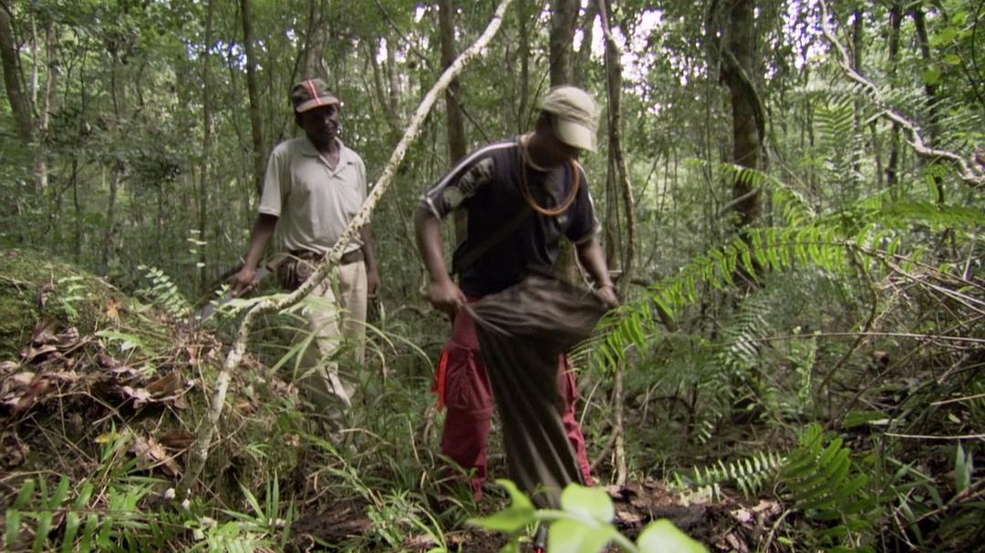 地球的力量 Earth: The Power of the Planet