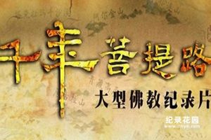 CCTV央视佛教纪录片《千年菩提路》全12集 720P /1080i高清纪录片百度云
