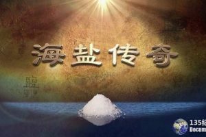CCTV央视历史人文纪录片《海盐传奇 Sea Salt Legend》全5集 720P/1080i高清纪录片百度云