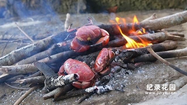 荒野美食纪录片《东南亚赶海吃货》第1季原版无字 1080P高清自媒体解说素材百度云盘下载