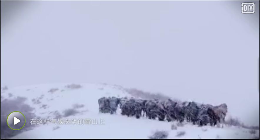 佛国记：法显西行