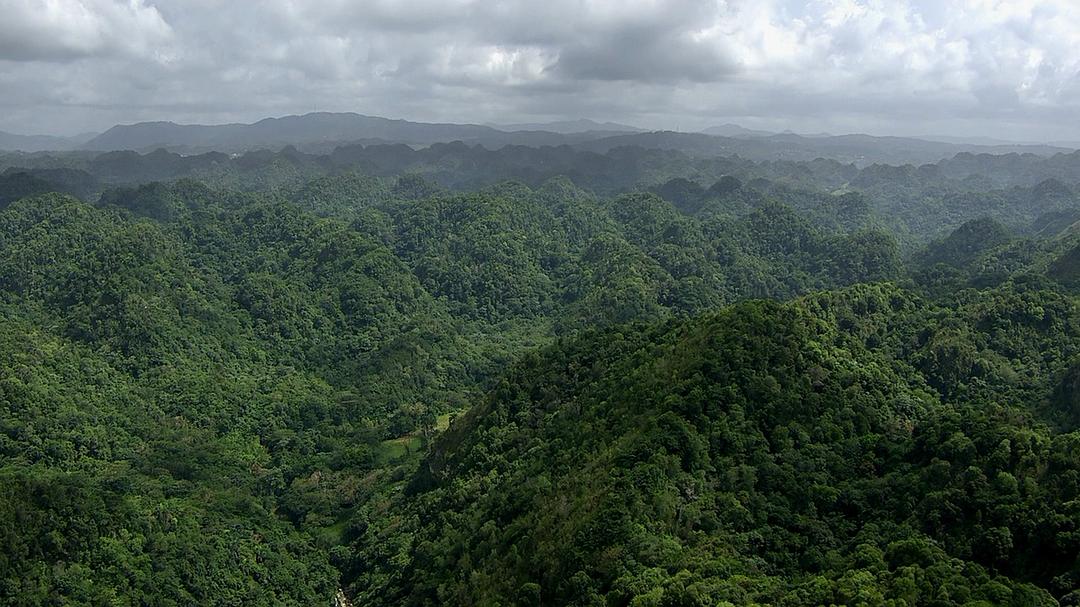 人类宇宙 Human Universe