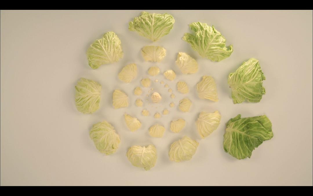 啊！设计 デザインあ