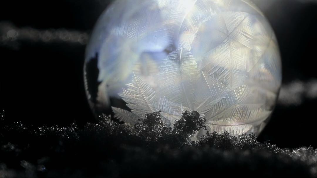 自然的力量 Forces of Nature with Brian Cox