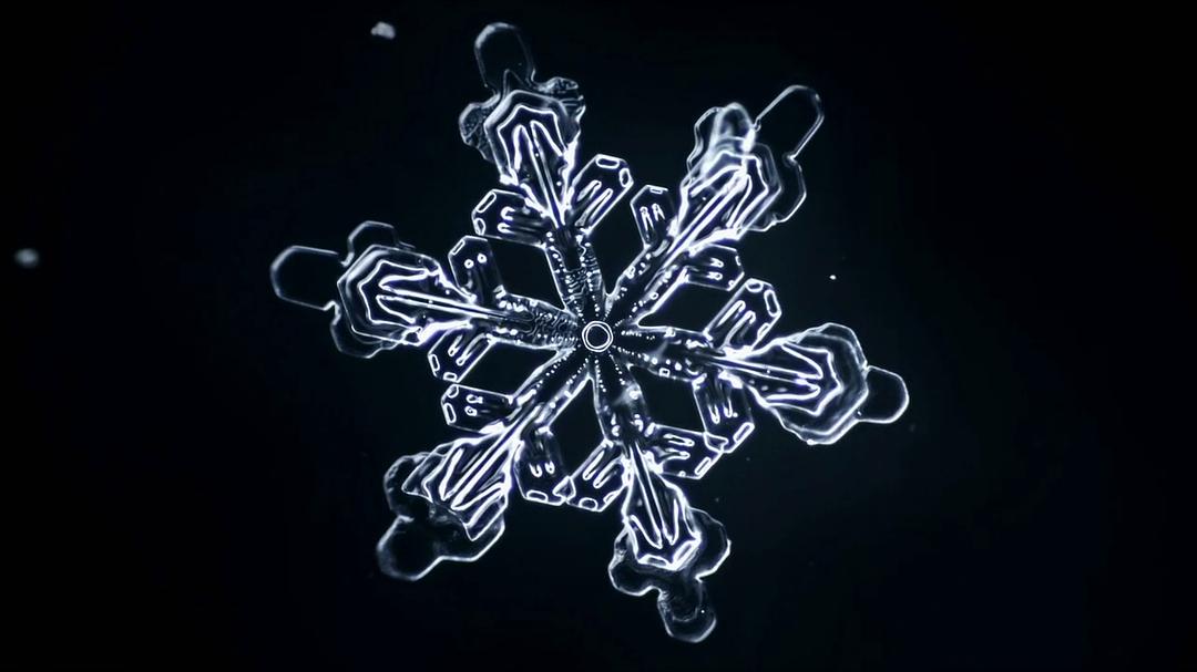 自然的力量 Forces of Nature with Brian Cox