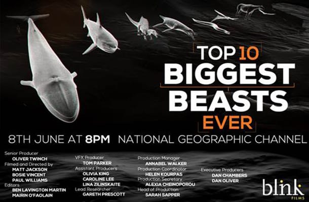 十大巨兽排行榜 Top 10 Biggest Beasts Ever