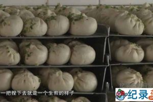 美食文化纪录片《申夜食堂 上海点心》全1集 720P/1080i高清纪录片资源百度云盘下载